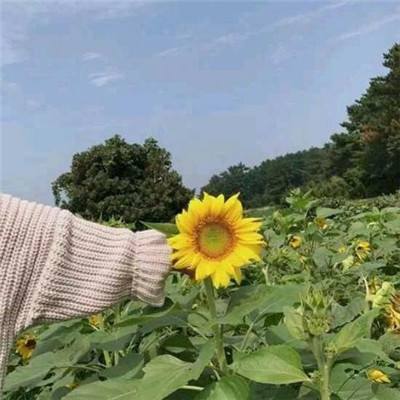 迷失的心手游官方版下载